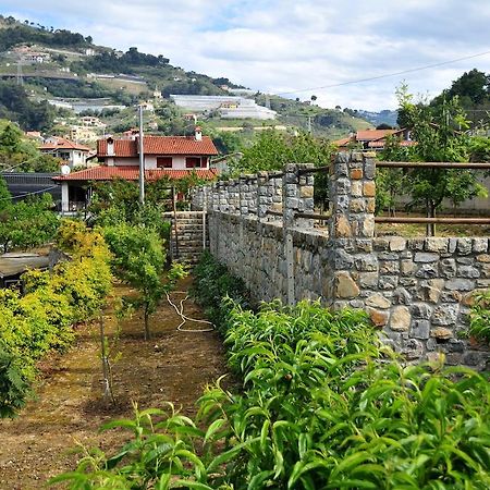 Le Rose Villa San Biagio della Cima Kültér fotó