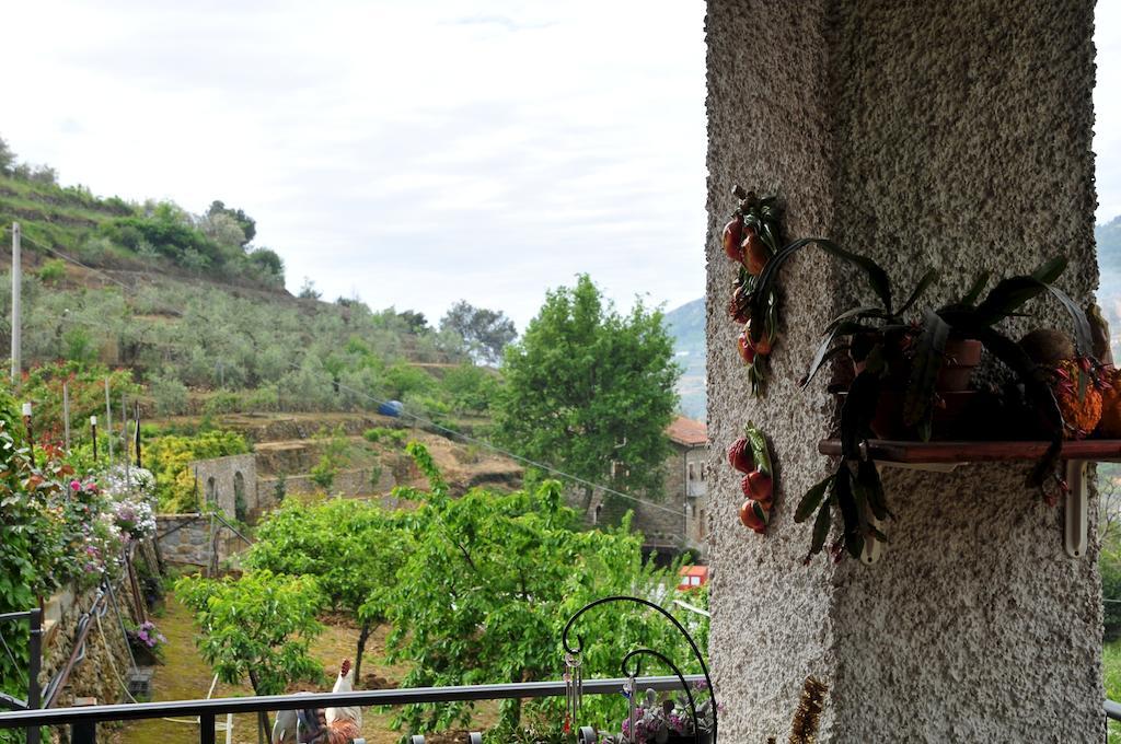 Le Rose Villa San Biagio della Cima Kültér fotó